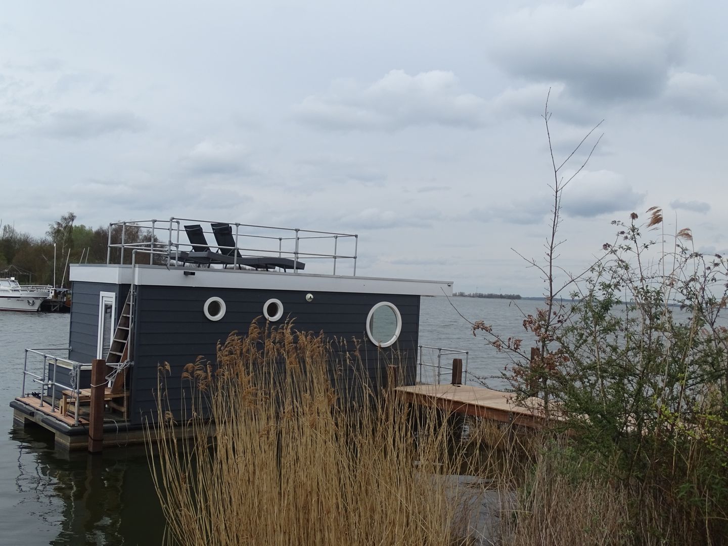 Woonboot de Meerkoet in Zeewolde - Flevoland, Nederland foto 2744048